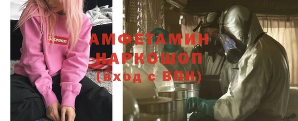 молекула духа Арсеньев