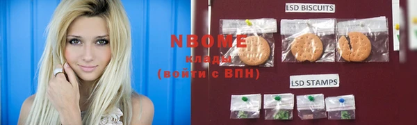 молекула духа Арсеньев