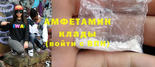 молекула духа Арсеньев