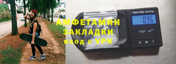 молекула духа Арсеньев