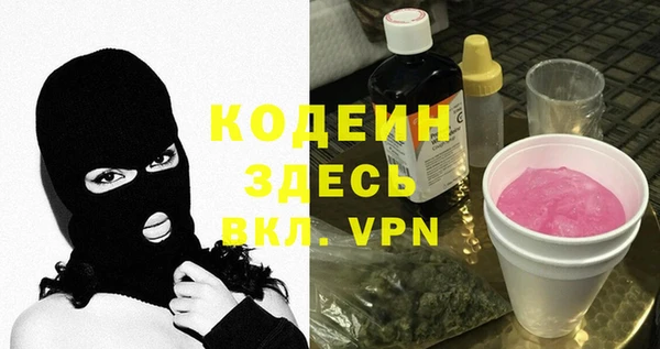 молекула духа Арсеньев