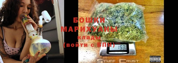 молекула духа Арсеньев