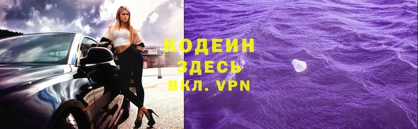 молекула духа Арсеньев