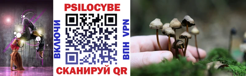 Купить где  Мичуринск  Псилоцибиновые грибы прущие грибы 